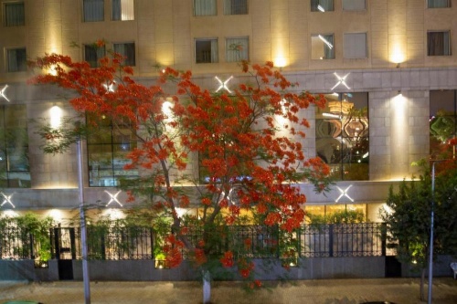 Museum Plaza Hostel image 17